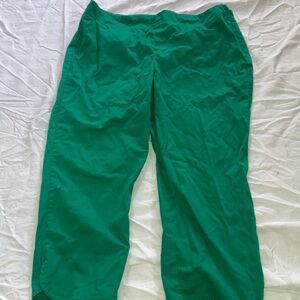Talbots Vibrant Green Pants